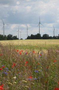 Windräder | WKA